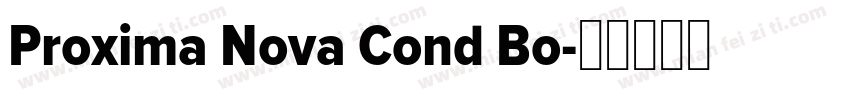 Proxima Nova Cond Bo字体转换